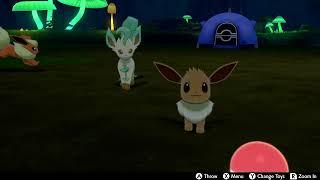 Eevee is Having Fun Running Around