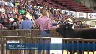 Patrick Goggins Livestock Sale a big boon for young entrepreneurs