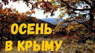 Осень в Крыму - волшебное время. Горы... Лес... Октябрь.