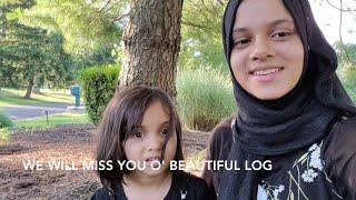 O' Sweet Home: Flash back memory edited by Maryam Masud