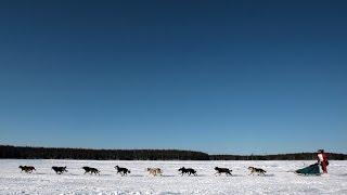 На Аляске стартовала знаменитая гонка на собачьих упряжках (новости)