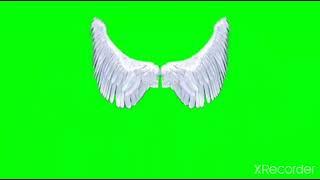 Green screen magical wings#green screen