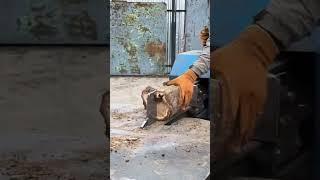 Big wood splitting #recommended #woodscraft #woodskills #woodworking