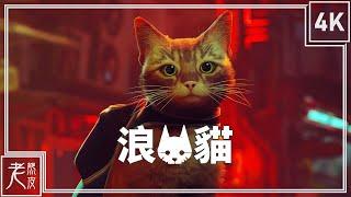 【浪貓：Stray】4K 劇情電影 - 防3D暈、一鏡到底、全記憶恢復 - Stray GameMovie - 迷失│PC版特效全開