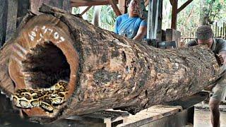 teak wood sawing process