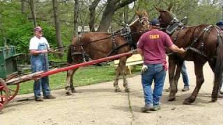 Runaway Mule Cart