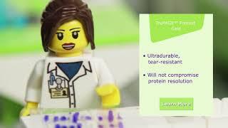 Rethink Western Blotting - MilliporeSigma LEGO Video