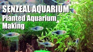 Planted Aquarium Landscaping Making - from senzeal.com