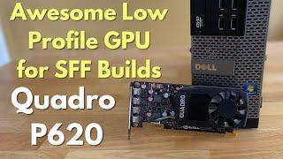 Cheap Awesome Low Profile GPU (Quadro P620)