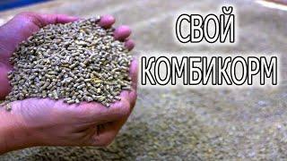 КАК СДЕЛАТЬ ДОМАШНИЙ КОМБИКОРМ ДЛЯ БРОЙЛЕРОВ. 42 ДНЯ ЭКСПЕРИМЕНТ !