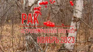 Рак астрологический прогноз на ноябрь 2023