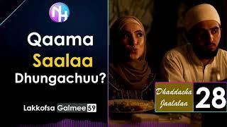 Qaama Saalaa Dhungachuu? - Dhaddacha Jaalalaa 28