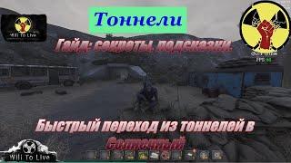 Will To Live Online. Тоннели. Небольшой гайд. Плюс плюшки, секреты, подсказки.