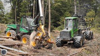  Logging with TIMBERJACK and JOHN DEERE Power! [4K]