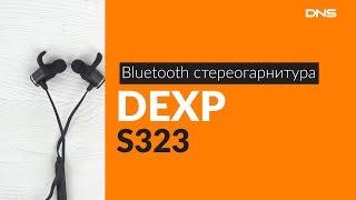 Распаковка стереогарнитуры DEXP S323 / Unboxing DEXP S323