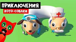 ПРИКЛЮЧЕНИЕ МУТАНТА КОТО-СОБАКИ | Cats & Dogs 3D game | Эволюция милого животного кота и собаки.