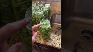 How To Can Green Beans: SO EASY!    #canning #homesteading #farmlife