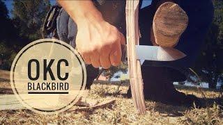 OKC SK5 Blackbird: Outdoor Arena Review