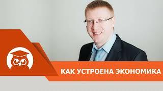 Виды экономических циклов. Почему финансовые кризисы неизбежны?