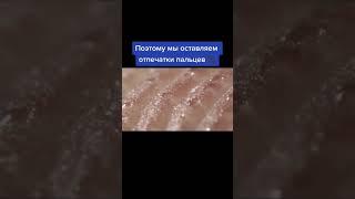 Знали об этом ? #факты #интересно #наука #биология #фактыкаждыйдень #полезные