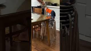 Baby monkey Bibi likes to be hugged by Dad