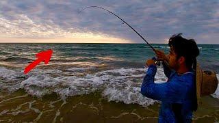 SURF Fishing PINS & I caught a RARE Texas Species **Multi-Species** (Padre Island National Seashore)