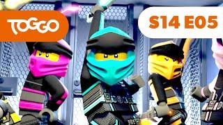 NINJAGO Deutsch | Die gesuchten 1, 2, 3, 4 und 5 | S14 F05 | LEGO | Ganze Folge | TOGGO ​Serien