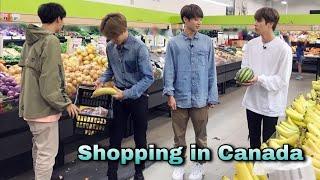 Grocery shopping in Canada // Funny hindi  dubbing//Part-2 //run ep 70