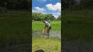 Sound hunting ।। Shashanka Saikia।। Tiken #ZoomH6