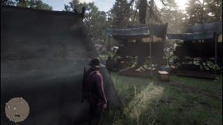 Ghosting/Blur in RDR2*