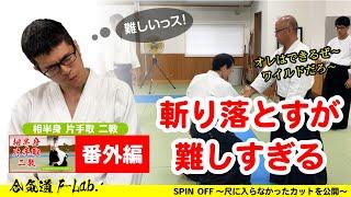 【相半身 片手取 二教 番外編】斬り落としが難しすぎる#合気道 #aikido