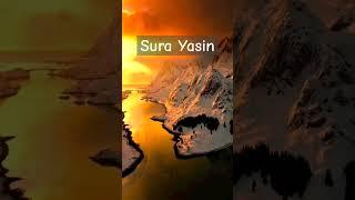 Sura yasin #quran #islam #sura #islamicvideo beautiful voice Sura Yasin Quran voice