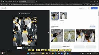 How To Reverse Image Search On Google Images Tutorial