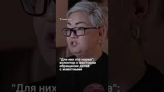 "Для них это норма": волонтер о жестоком обращении детей с животными