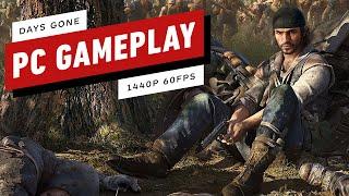 15 Minutes of Days Gone PC Gameplay - 1440p 60fps