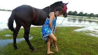 My Girl Village Care Black horse training Basics at the Small Park - How to cleaning cut