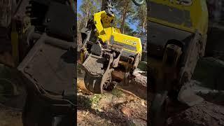 “Forest Efficiency:Tree Cutting with a Harvester” #forest #lumberjack #johndeere #harvester #wood