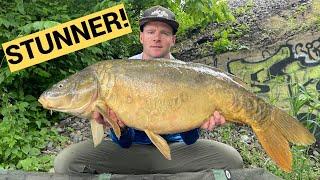 A Surprise, Rare Catch! (BIG Carp Fishing)