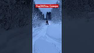 ГОДЗИЛЛЫ СЕВЕРА-СКОРО НОВЫЙ ВЫПУСК!