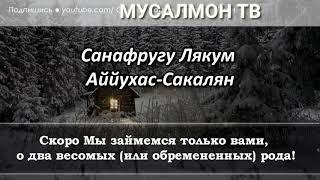 СУРА РАХМАН ПЕРЕД СНОМ УБИРАЕТ ВЕСЬ НЕГАТИВ И УСТАЛОСТЬ - АЛЛАХ ДАЕТ МИЛОСТЬ И ПРОЩЕНИЕ