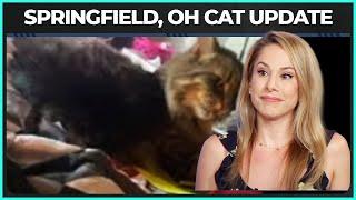 MAJOR UPDATE On Missing Cat That Fueled MAGA’s Cat-Eating Rumor