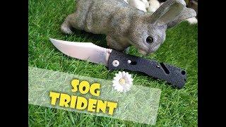 SOG TRIDENT " le trip complet "