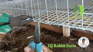 DIY J-CLIP alternative for M-CLIP: How to USE in Rabbit Cage! #rabbit #rabbitfarming #bunny