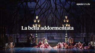 "LA BELLA ADDORMENTATA" trailer