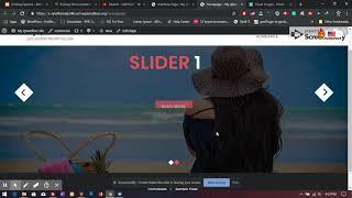 Bizberg WordPress Theme: How to Add Slider ?