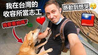 Volunteering in a dog shelter! Will I adopt a dog?? 法國人在台灣的收容所當志工 //「我一定會養狗狗!!」