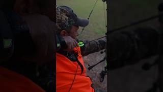 Bowhunting in Georgia