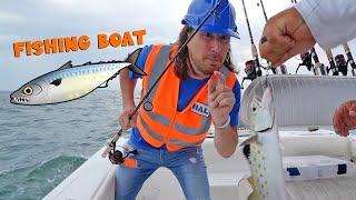 Handyman Hal goes Fishing  Fishing Boat Fun with Handyman Hal ️ All about BOATS!