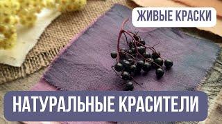 Натуральные красители для тканей. Обзор растительных пигментов