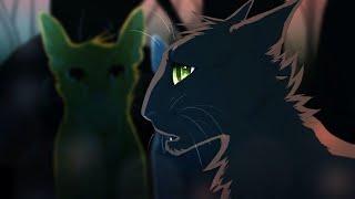 Cats Warriors Hollyleaf - a cat has 9 lives / Коты воители Остролистая - у кошки 9 жизней